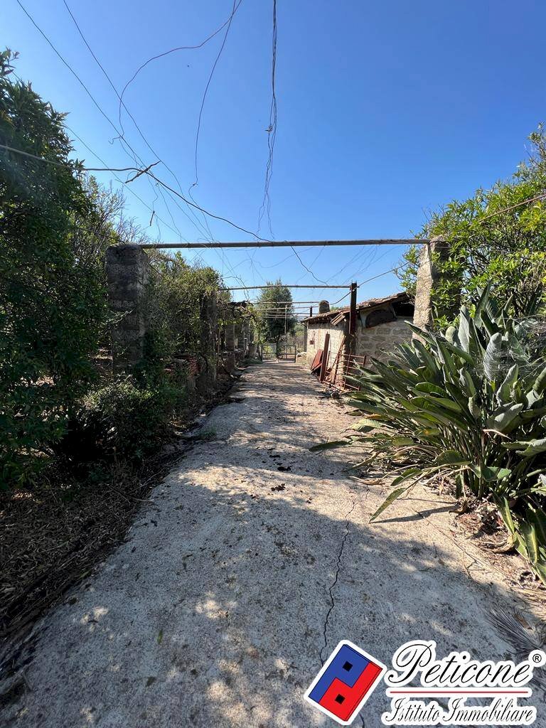 Foto 3 - Terreno agricolo Via Gegni, Fondi - foto 3