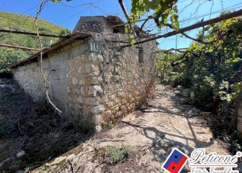 Foto 2 - Terreno agricolo Via Gegni, Fondi - foto 2