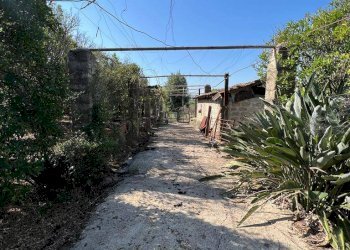 Foto 3 - Terreno agricolo Via Gegni, Fondi - foto 3