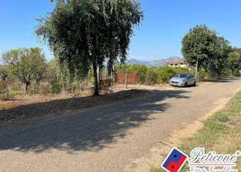 Foto 4 - Terreno agricolo Via Gegni, Fondi - foto 4