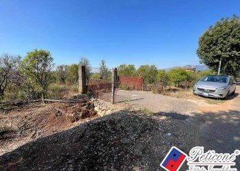 Foto 5 - Terreno agricolo Via Gegni, Fondi - foto 5