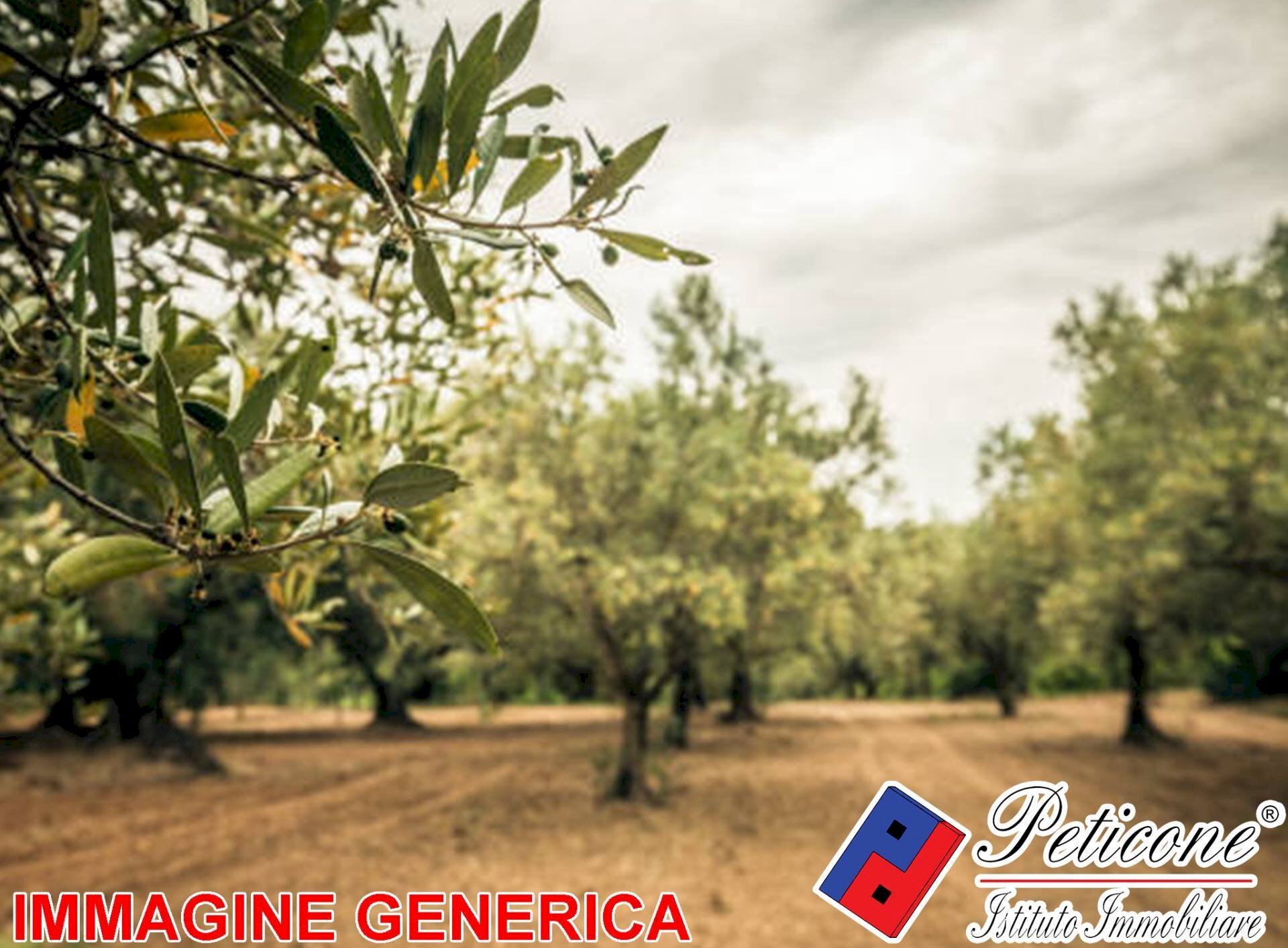 Foto 1 - Agricultural land VALLE BERNARDO, Lenola - photo 1