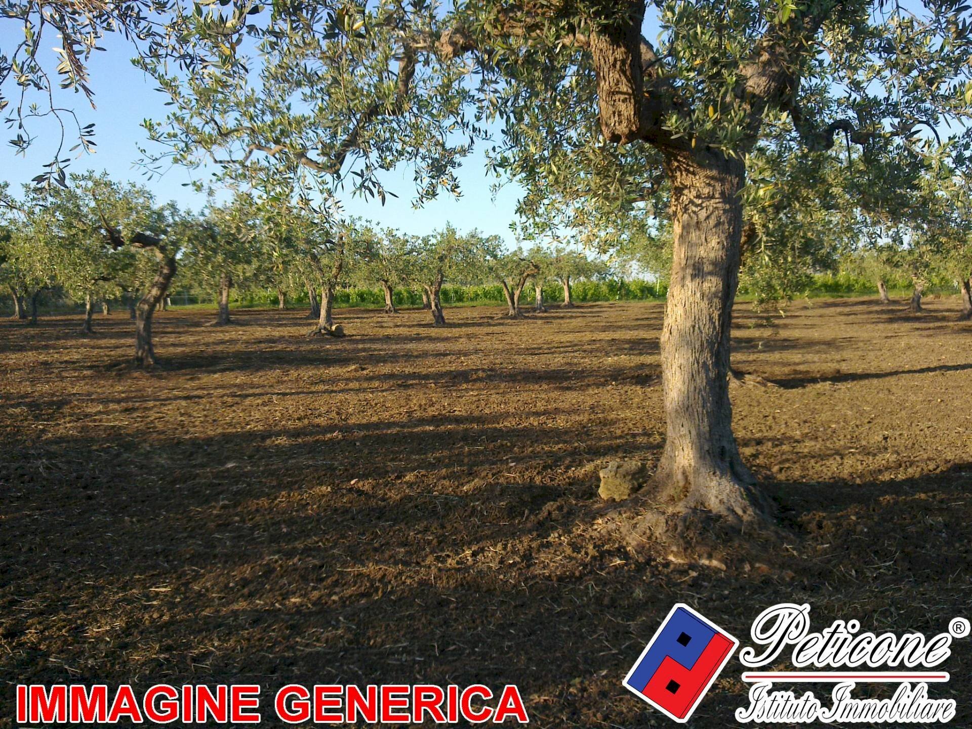 Foto 2 - Agricultural land VALLE BERNARDO, Lenola - photo 2