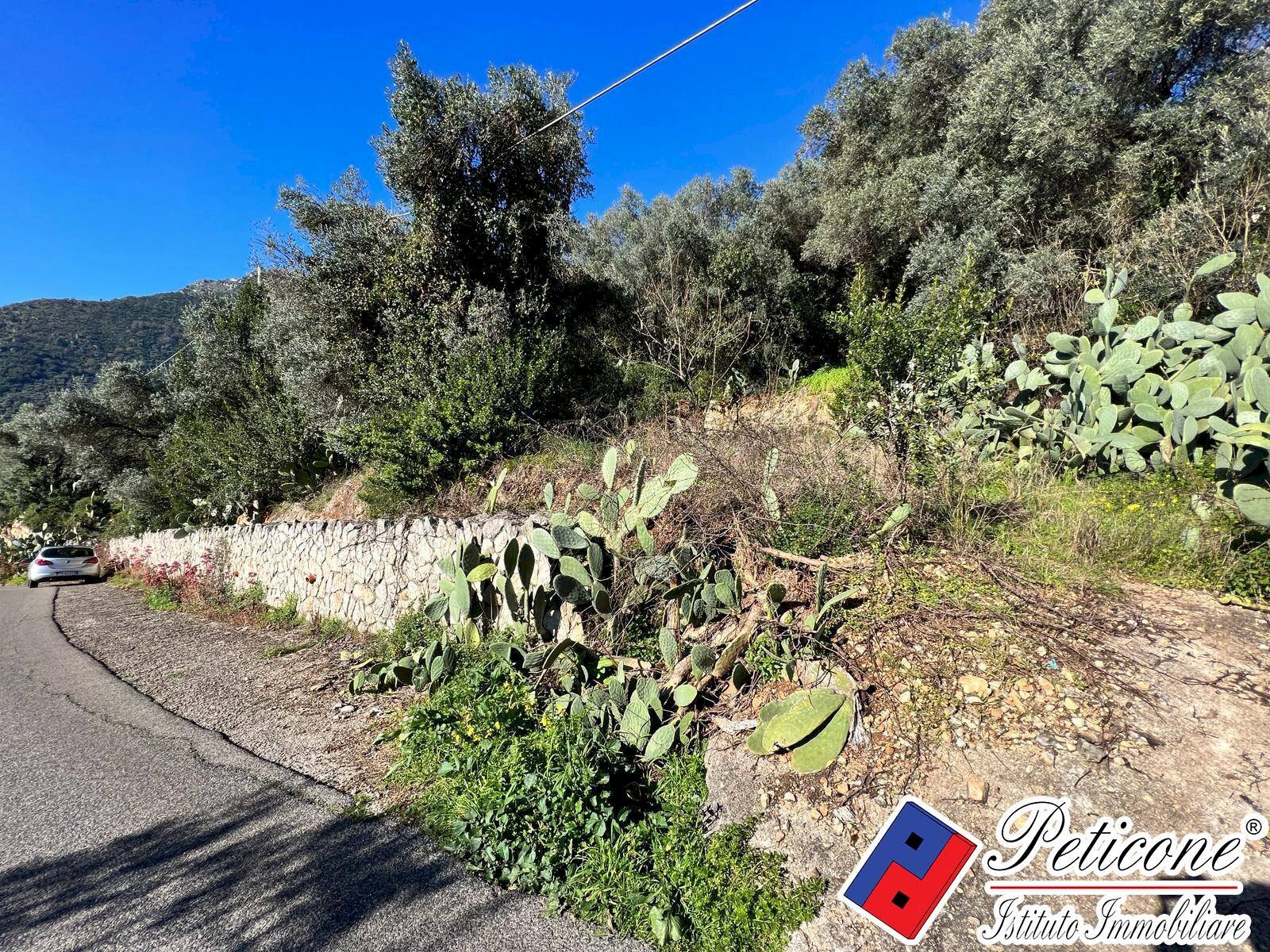 Foto 2 - Terreno edificabile Via Valle Vigna, Fondi - foto 2