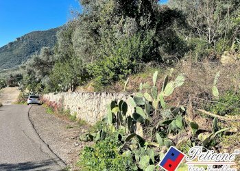 Foto 4 - Terreno edificabile Via Valle Vigna, Fondi - foto 4