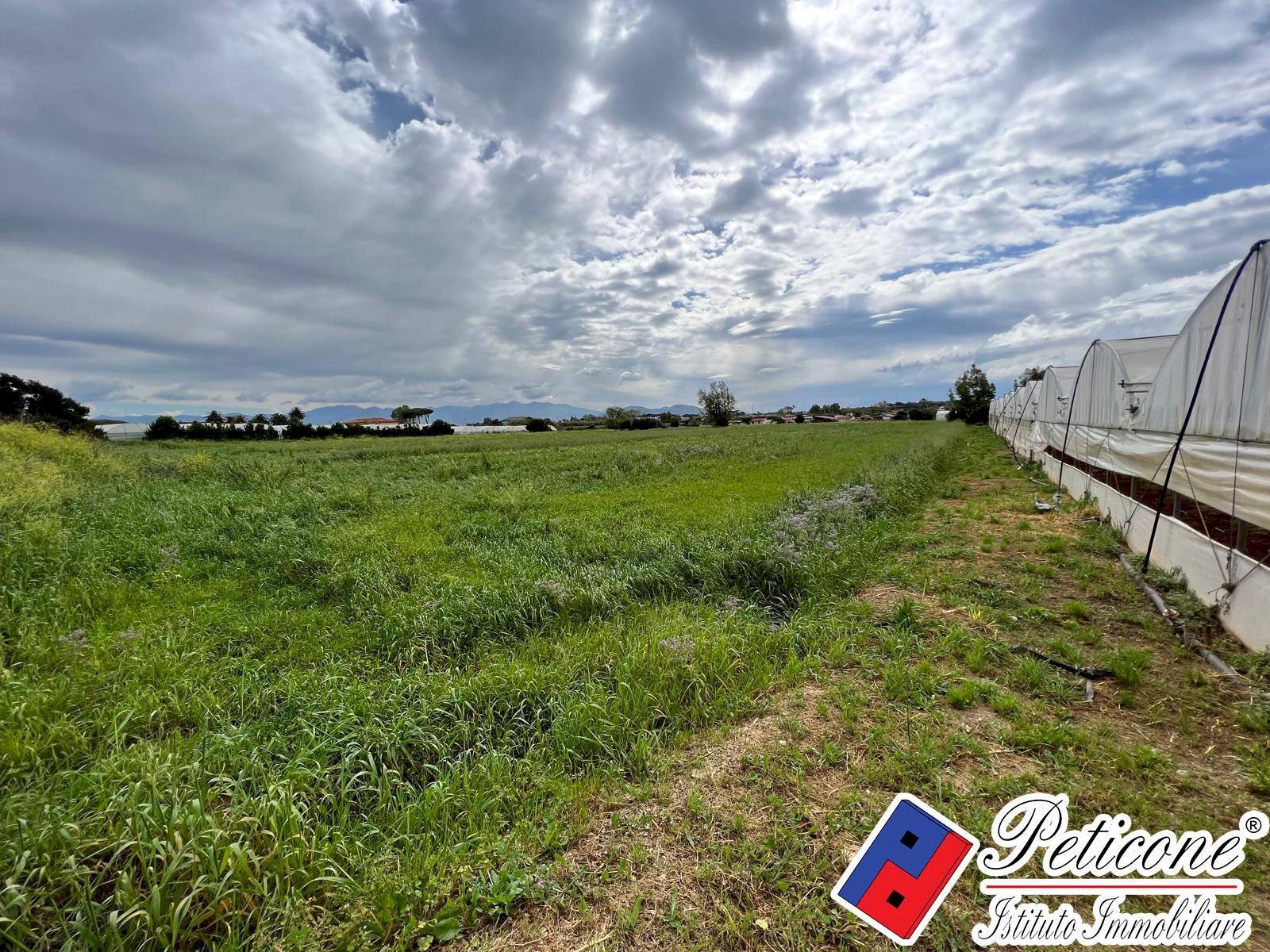 Foto 2 - Terreno agricolo BARCHI, Terracina - foto 2