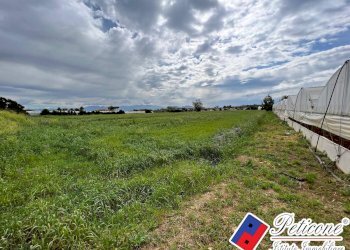 Foto 2 - Terreno agricolo BARCHI, Terracina - foto 2