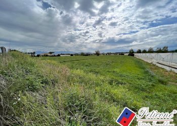 Foto 4 - Terreno agricolo BARCHI, Terracina - foto 4