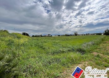 Foto 5 - Terreno agricolo BARCHI, Terracina - foto 5