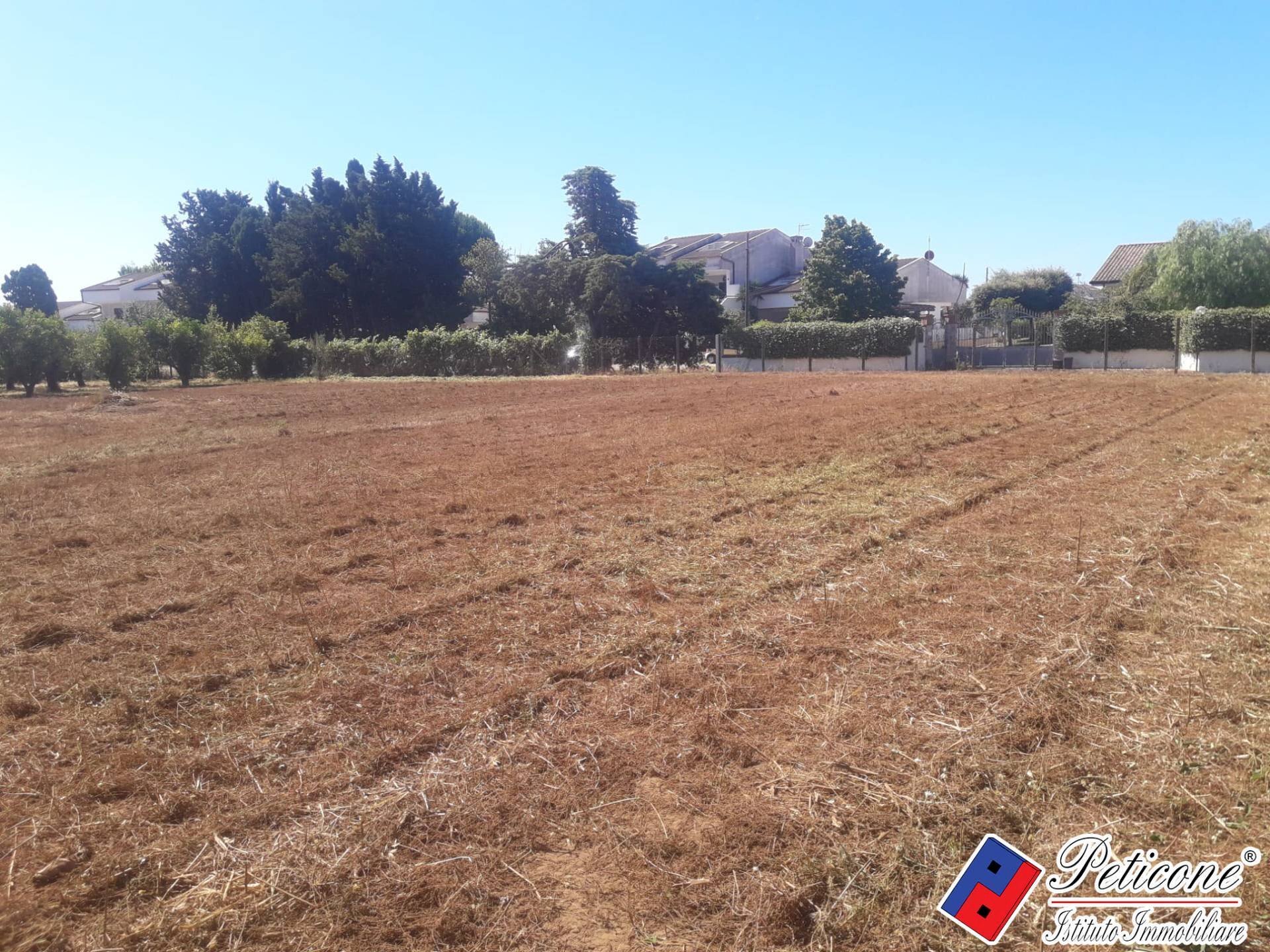 Foto 2 - Terreno agricolo Via Covino, Fondi - foto 2