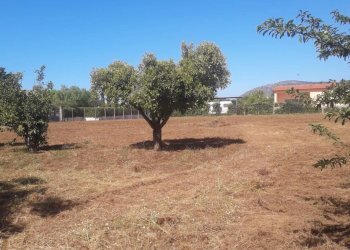 Foto 1 - Terreno agricolo Via Covino, Fondi - foto 1