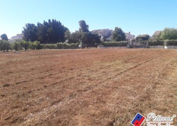 Foto 2 - Terreno agricolo Via Covino, Fondi - foto 2