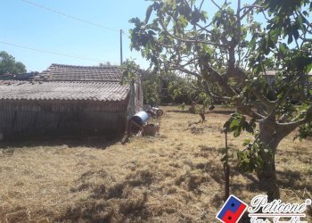 Foto 4 - Terreno agricolo Via Covino, Fondi - foto 4