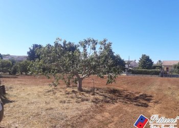 Foto 5 - Terreno agricolo Via Covino, Fondi - foto 5