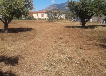 Foto 6 - Terreno agricolo Via Covino, Fondi - foto 6