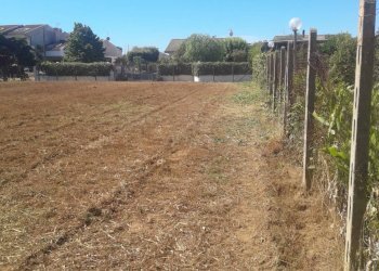 Foto 9 - Terreno agricolo Via Covino, Fondi - foto 9