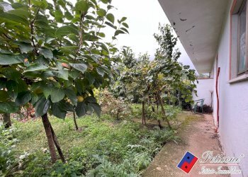 Foto 21 - Villa Corso Trento e Trieste, Campodimele - photo 21