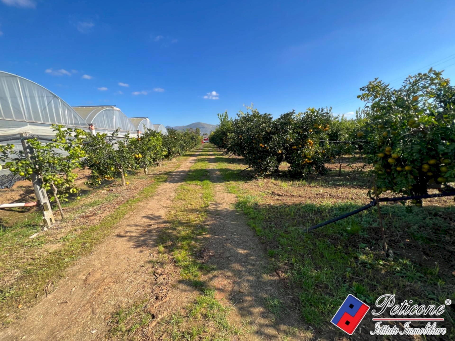 Foto 2 - Terreno agricolo Via Fontanelle S. Marco, Fondi - foto 2