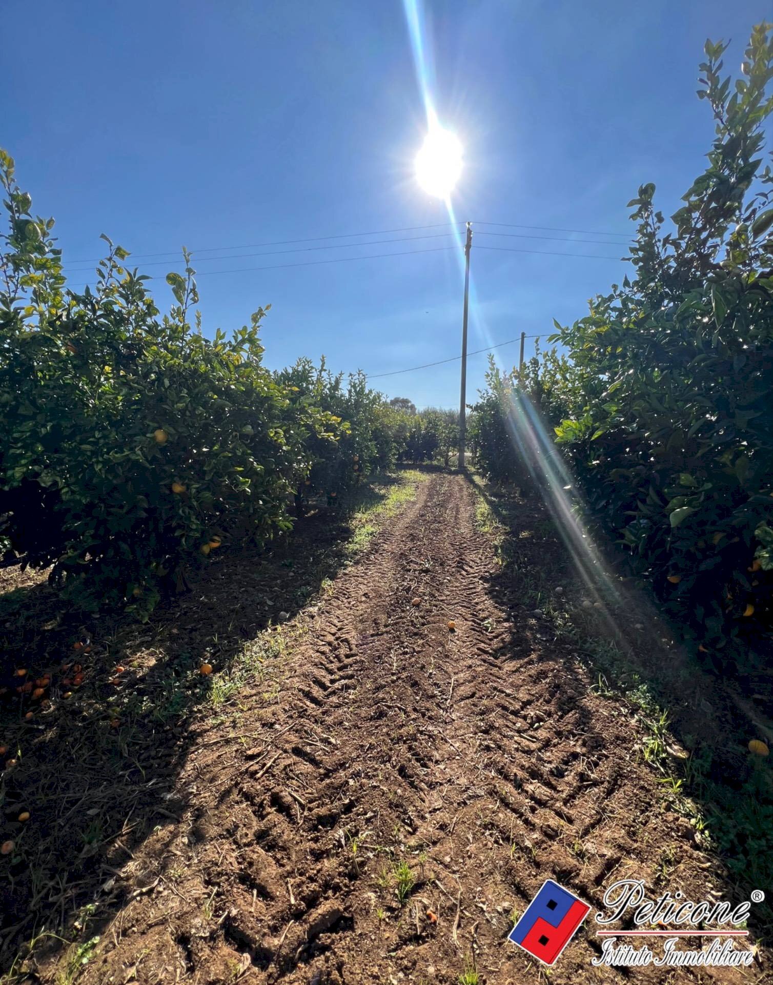 Foto 3 - Terreno agricolo Via Fontanelle S. Marco, Fondi - foto 3
