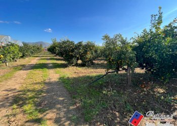 Foto 1 - Terreno agricolo Via Fontanelle S. Marco, Fondi - foto 1