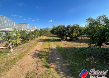 Foto 2 - Terreno agricolo Via Fontanelle S. Marco, Fondi - foto 2