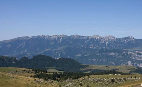 Foto 1 - Bar Tavola Calda - Fredda Bosco Chiesanuova - foto 1