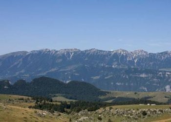 Foto 1 - Bar Tavola Calda - Fredda Bosco Chiesanuova - foto 1