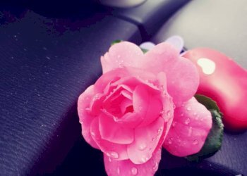 Foto 11 - Locale Commerciale via roma
 
5, Pegognaga - foto 11