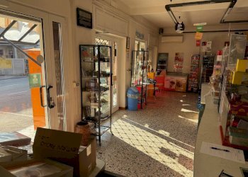 Foto 7 - Attività Commerciale San Pietro in Cariano - foto 7