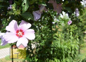 Foto 21 - Villa Argenta - foto 20