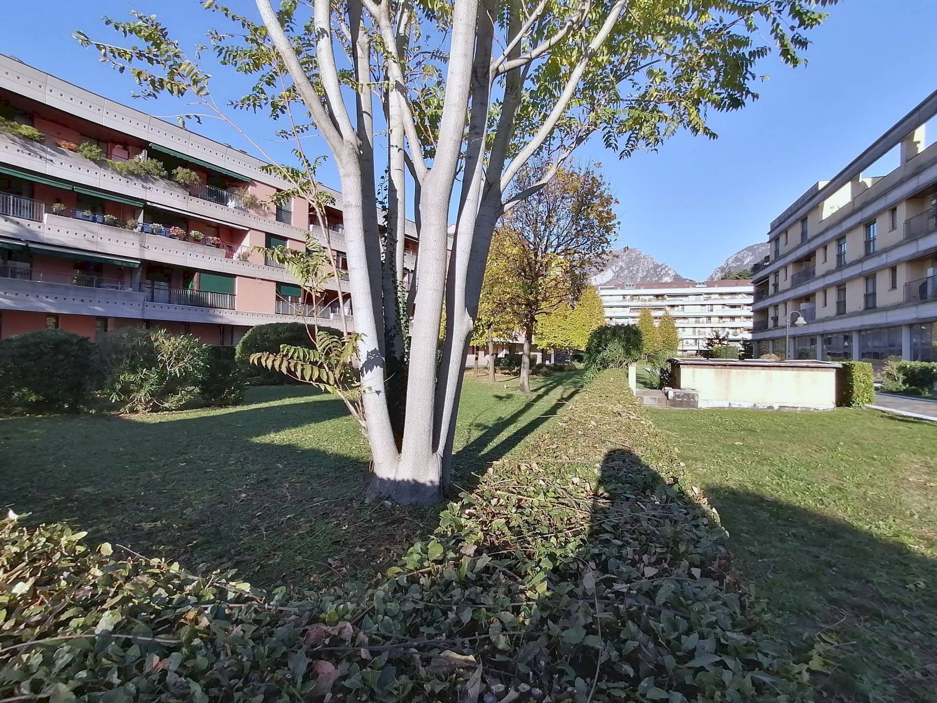 Foto 3 - Office Corso G. Matteotti, Lecco - photo 3