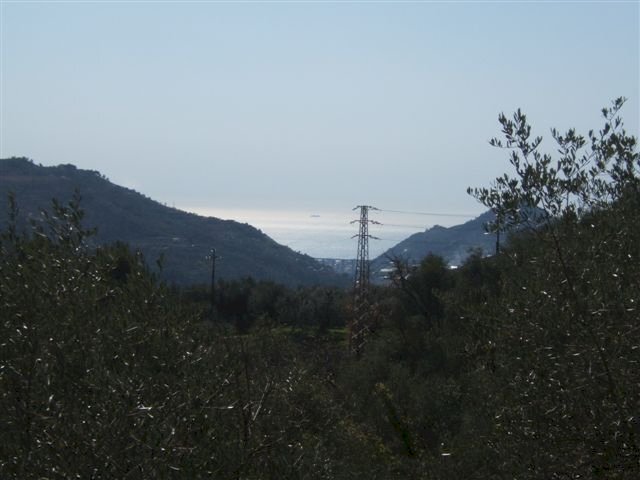 Foto 2 - Terreno edificabile Perinaldo - foto 2