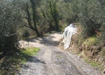 Foto 6 - Terreno edificabile Perinaldo - foto 6