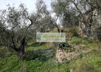 Foto 7 - Rustico Perinaldo - foto 7