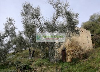 Foto 8 - Rustico Perinaldo - foto 8