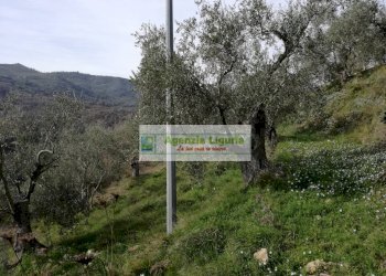 Foto 9 - Rustico Perinaldo - foto 9