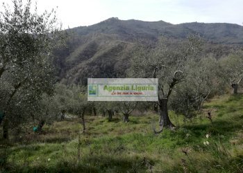 Foto 10 - Rustico Perinaldo - foto 10