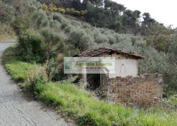 Foto 14 - Rustico Perinaldo - foto 14