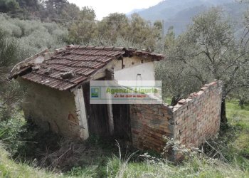 Foto 15 - Rustico Perinaldo - foto 15