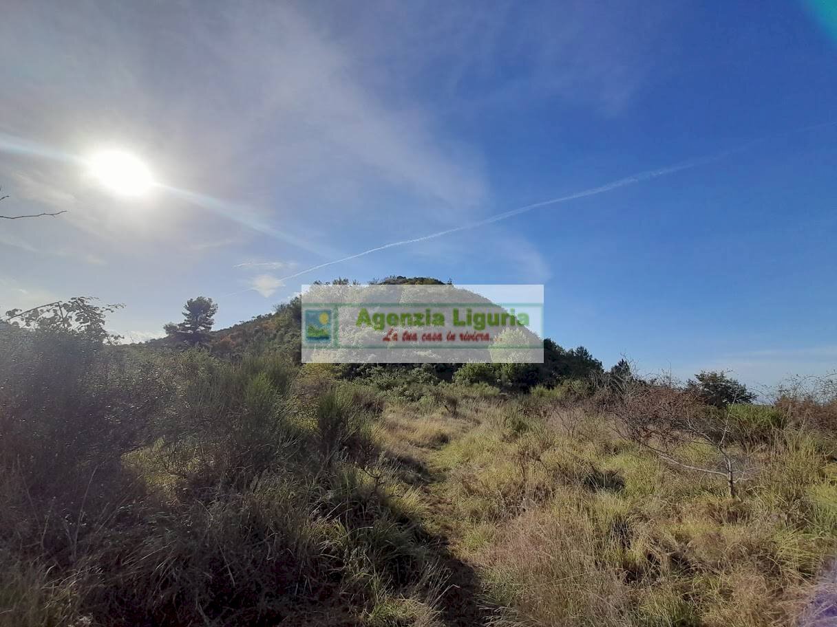 Foto 1 - Rustic località Alpicella
 
snc, Dolceacqua - photo 1