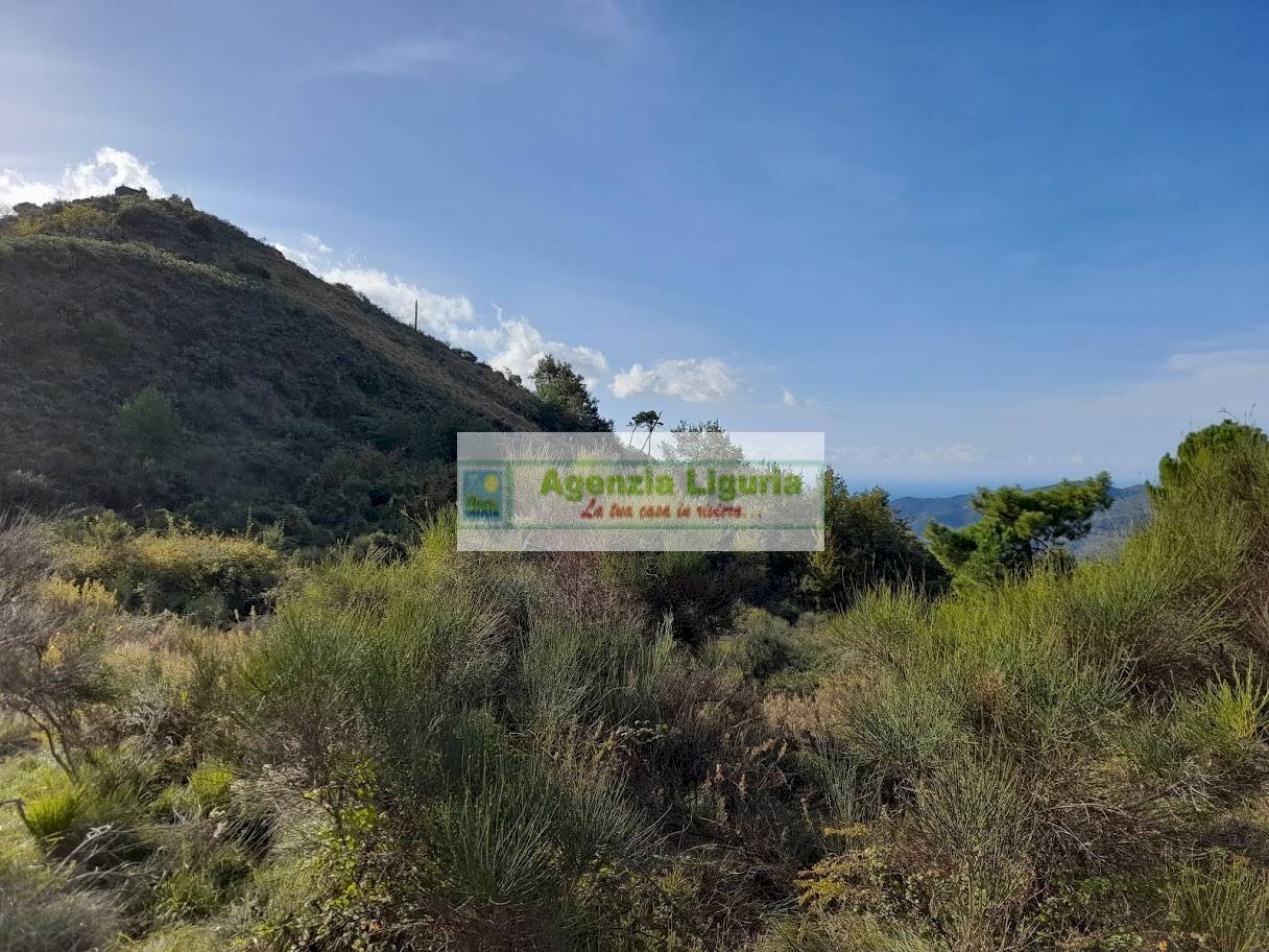 Foto 2 - Rustic località Alpicella
 
snc, Dolceacqua - photo 2