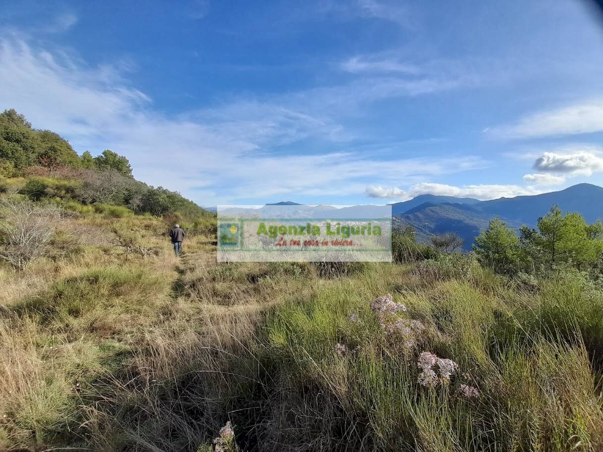 Foto 3 - Rustic località Alpicella
 
snc, Dolceacqua - photo 3