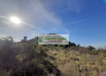 Foto 1 - Rustic località Alpicella
 
snc, Dolceacqua - photo 1