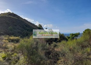 Foto 2 - Rustic località Alpicella
 
snc, Dolceacqua - photo 2