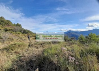 Foto 3 - Rustic località Alpicella
 
snc, Dolceacqua - photo 3