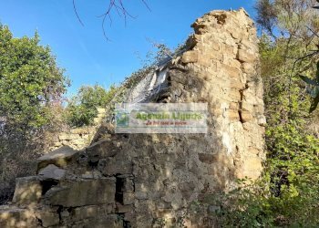 Foto 4 - Rustic località Alpicella
 
snc, Dolceacqua - photo 4