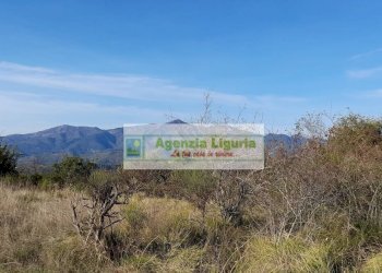 Foto 5 - Rustic località Alpicella
 
snc, Dolceacqua - photo 5