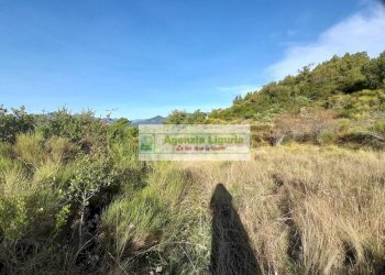 Foto 6 - Rustic località Alpicella
 
snc, Dolceacqua - photo 6