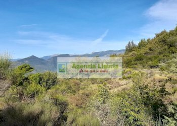 Foto 8 - Rustic località Alpicella
 
snc, Dolceacqua - photo 8