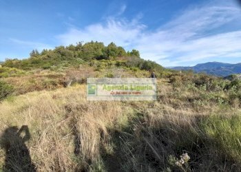 Foto 10 - Rustic località Alpicella
 
snc, Dolceacqua - photo 10